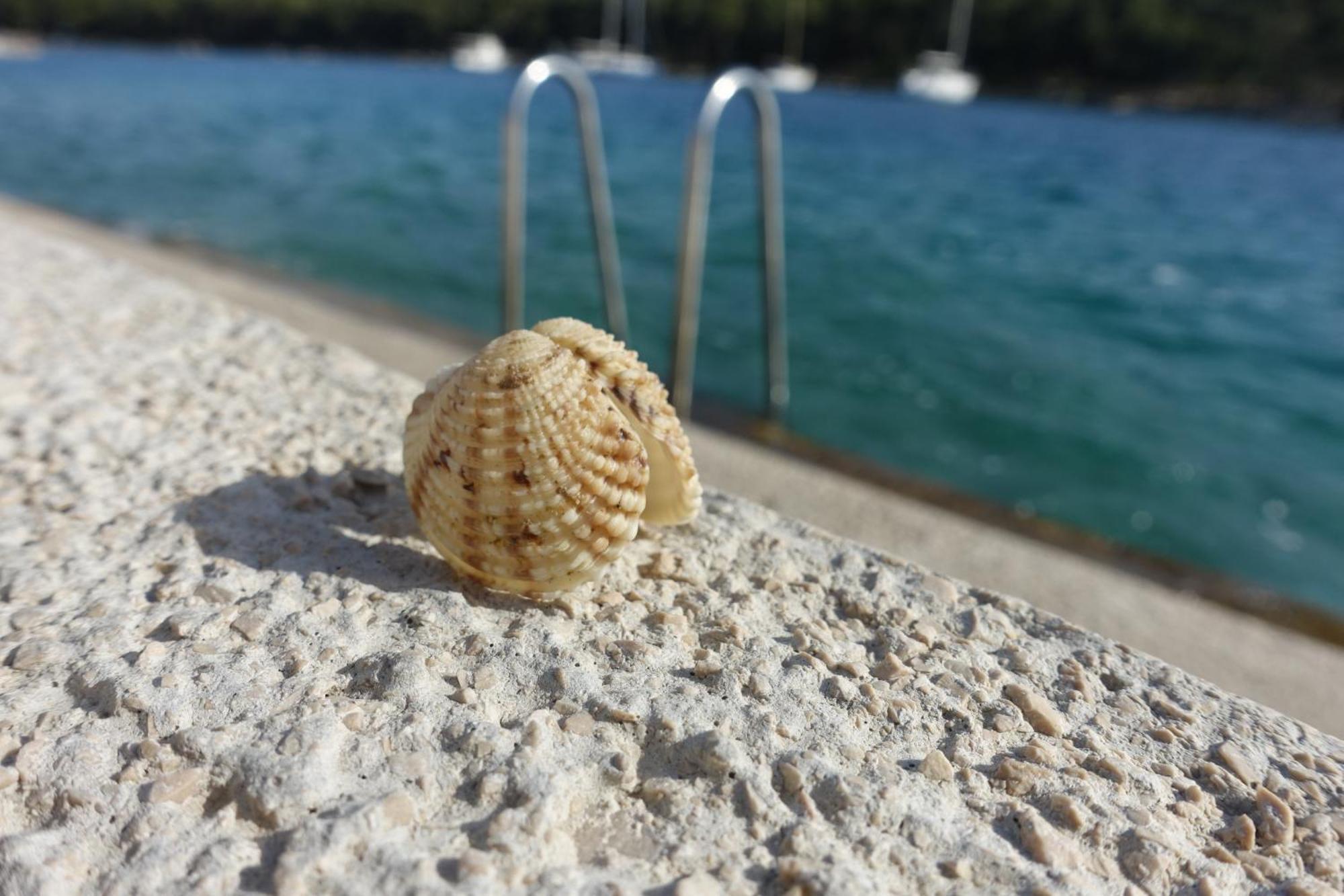 Apartment Tonka Vodice Eksteriør billede